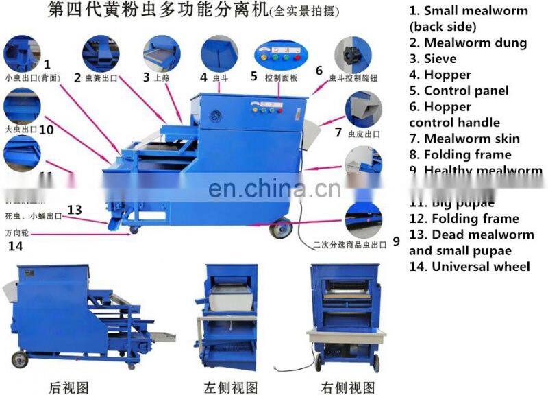 Multifunctional Tenebrio molitor selecting machine separating plant for yellow mealworm