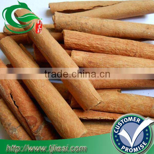 supply saigon cinnamon with low price