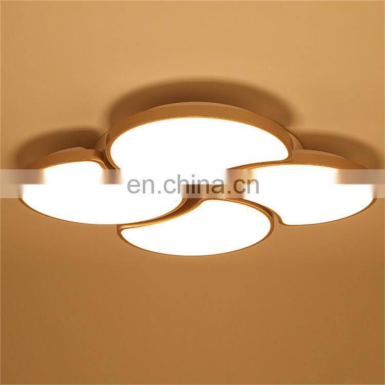 Living room lights simple modern atmosphere led ceiling lamp creative circular bedroom lamp Nordic personality flower type