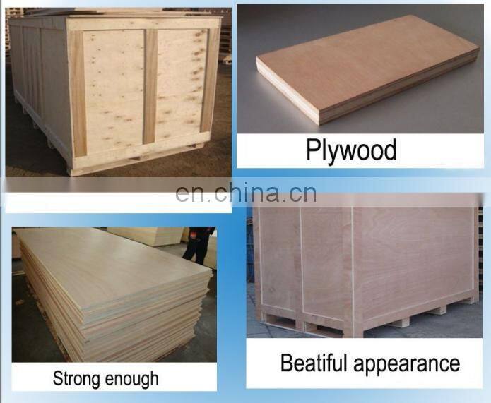 Table Top/ Walk in explosion proof fume hood From Hopui Factory