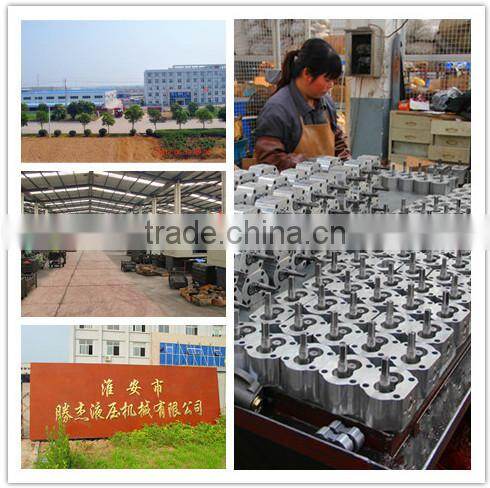 Z0467 Hydrauic Oil Gear Pump CB-F*5 series for truck crane/gear pump price