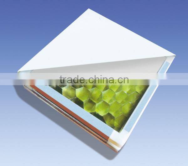 Paper honeycomb core sandwich panel for wall / door use
