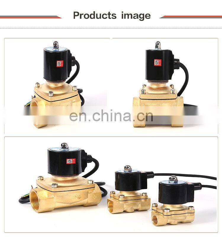 SNS 2WS series brand brass 2/2 way normally closed 3/8 inch waterproof solenoid valve