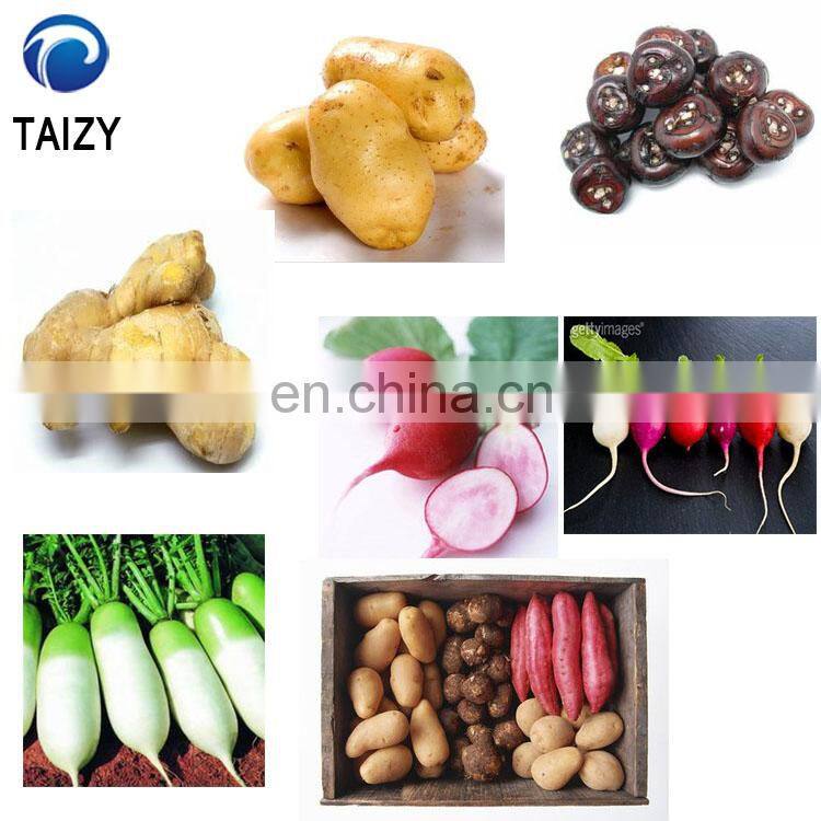 Automatic ginger washer and peeler machine cassava wash and peel machine