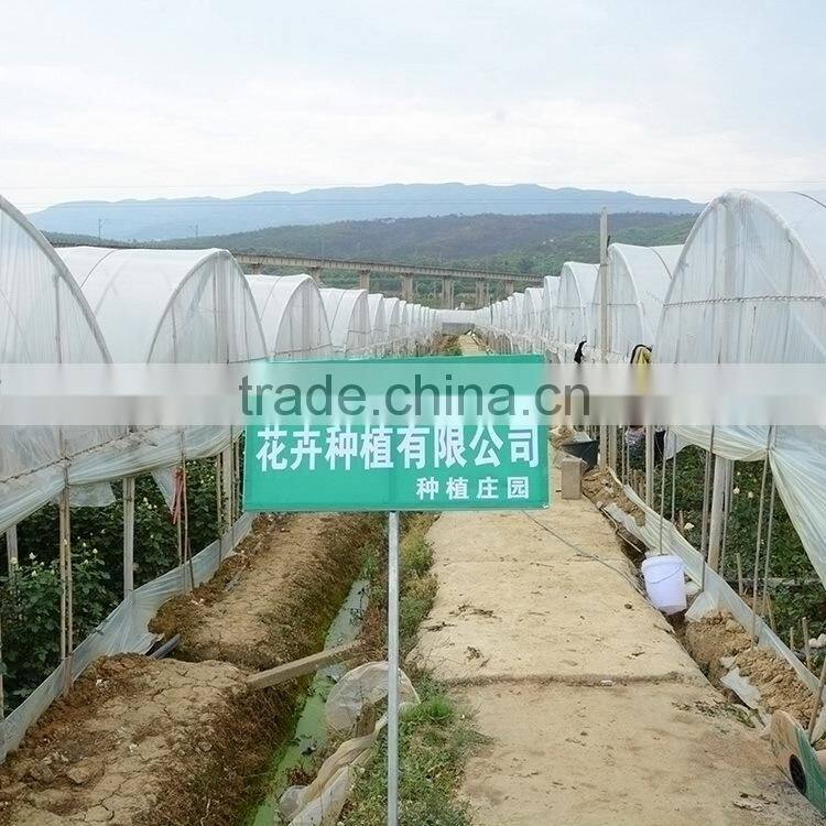 Alibaba china hot-sale cut fresh pink and violet cotton bakers twine