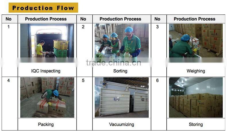 Fresh Broccoli_ Good Quality frozen broccoli spears