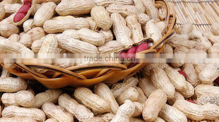 alibaba chinese peanut butter manufacturers
