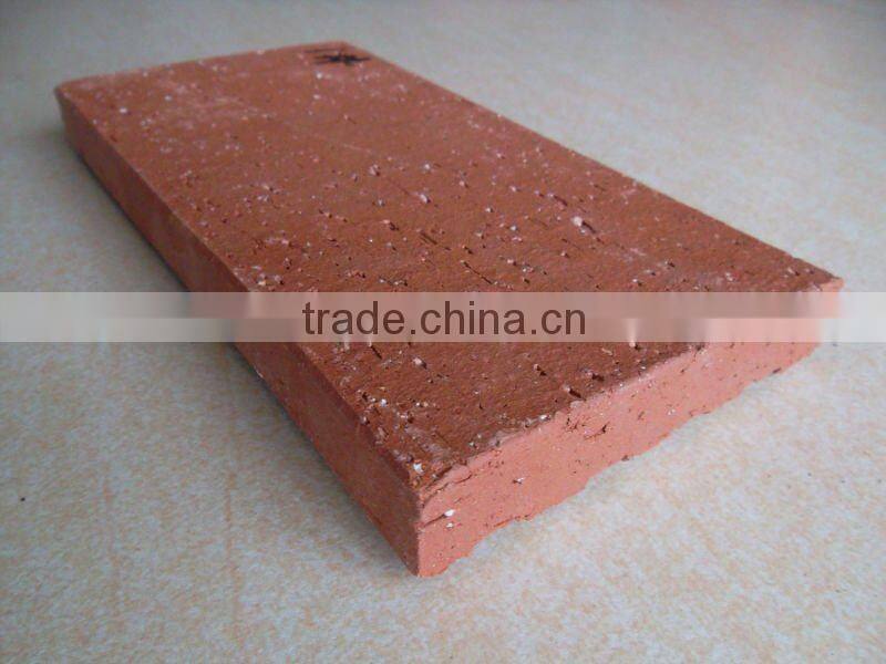 Outdoor floor tile 100x200x23mm