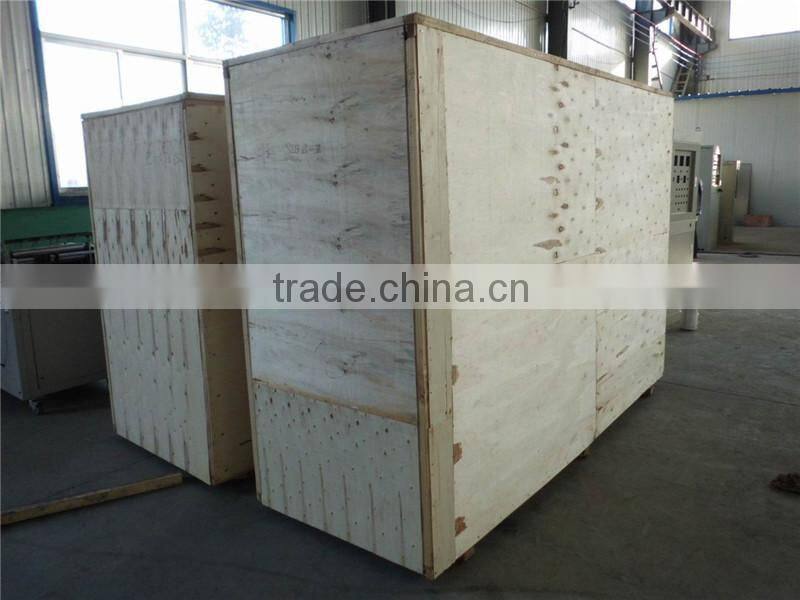 CE&competitive price twin extruder lab
