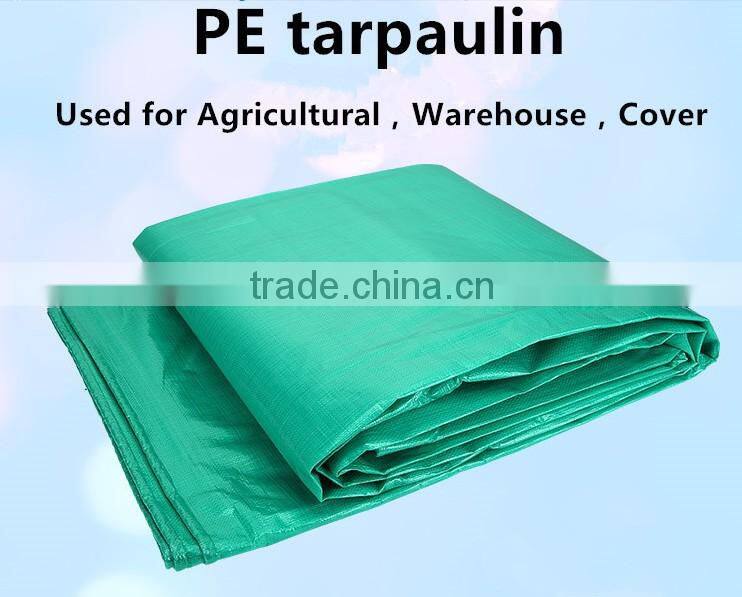 Waterproof Plastic Tarps Blue Camping Tarp for Shelter