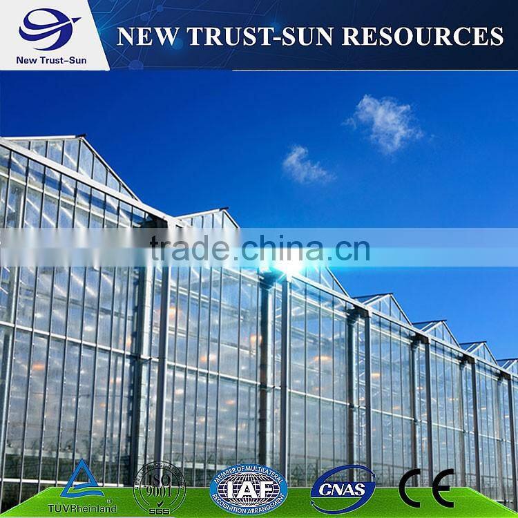 Simple low cost glass agricultural greenhouse