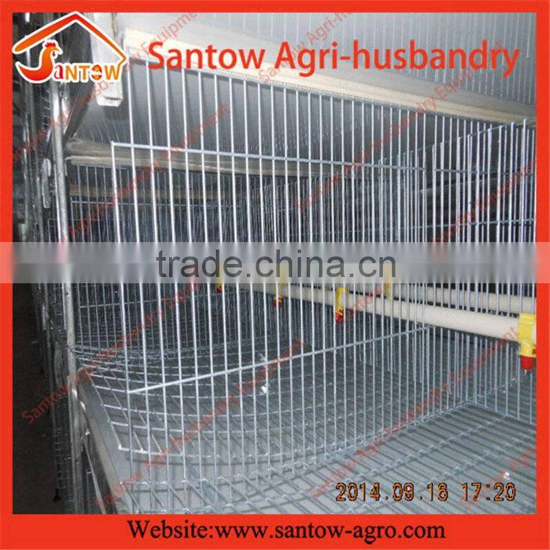 factory design full-auto hot-dipped Farm Equipment for Broiler chicken