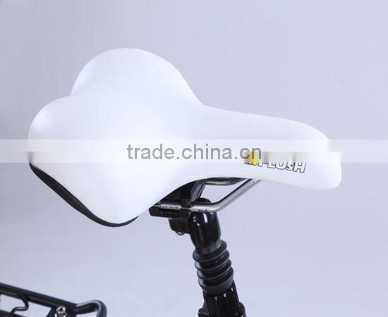 Mtb 29 inch Electric bicycle (Model CTB600U)