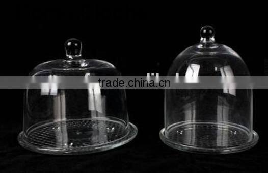 Glass Dome Cloche With Glass Tray