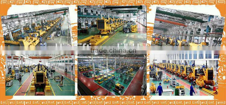 Track Shoe for Excavator and Bulldozer Spare Parts/Crawler Track Pad/Crane Shoes for sale