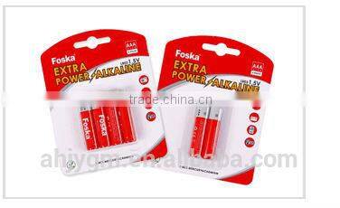 Hot Sale FOSKA AA Battery