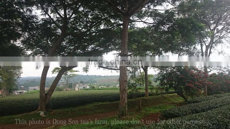 Triangle black tea bags/Black Pyramid tea bag from Vietnam