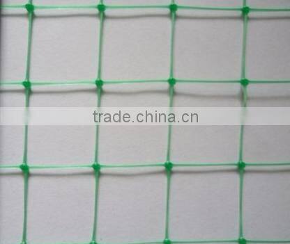 Plants protection net/BOP trellis netting