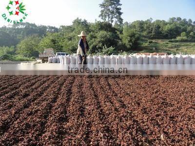 no chemical Aniseeds