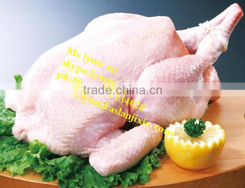 chicken feather scaling& plucking machine/ chicken plucker