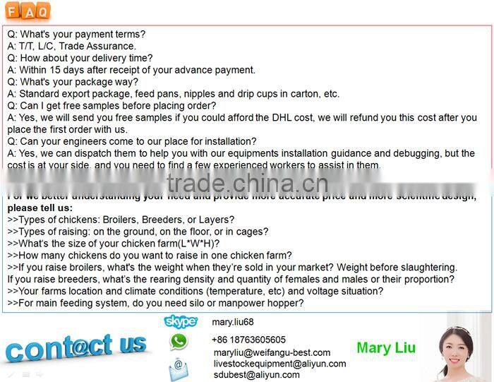 high quality low price industrial steel structure chicken coop