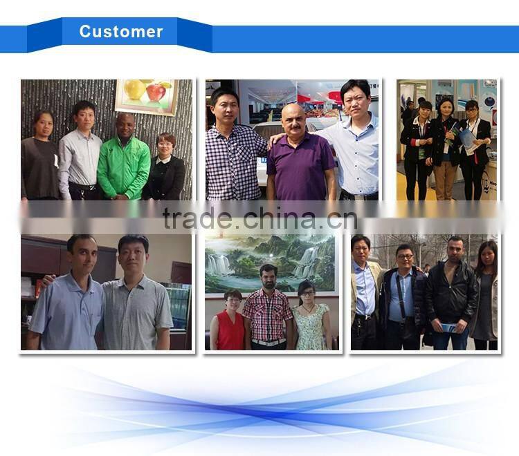 useful electric-galvanized hexagonal wire mesh