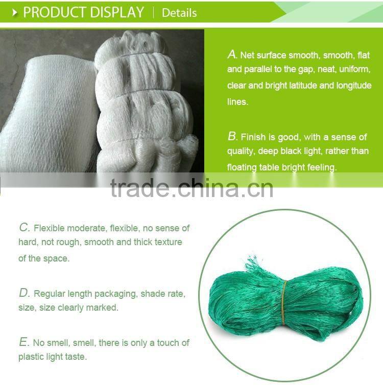 Trap Bird Nets For Catching Birds