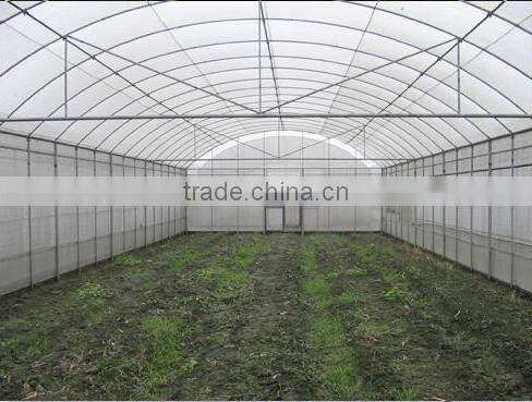 Single-Span Hot-Dip Galvanized Steel Pipe Frame 200mm PVC Film Covered Greenhouse