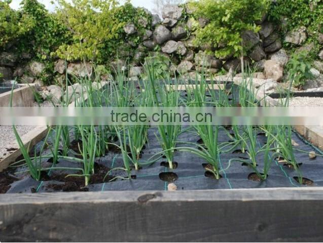 woven weed control fabric to England