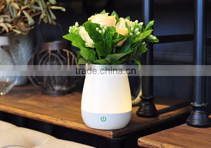 LED Table Vase Lamp with Built-in Lithium Battery