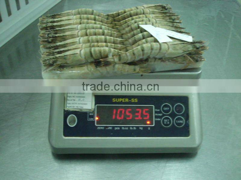 Frozen Black Tiger HOSO