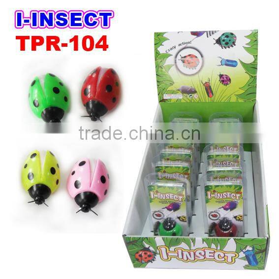 Novelty Glow Lizard Toys for Children