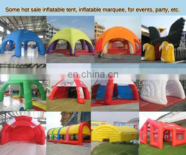 Custom made inflatable cat arch