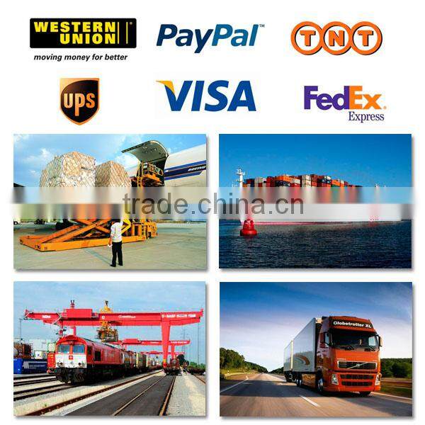 Trade assurance hot sale spring hinge