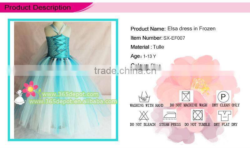 Popular Handmade Elsa Dress Cosplay Costume In Frozen