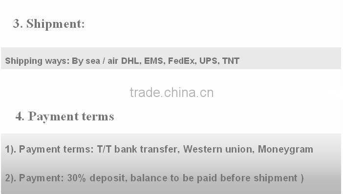 Mini laser pointer pen