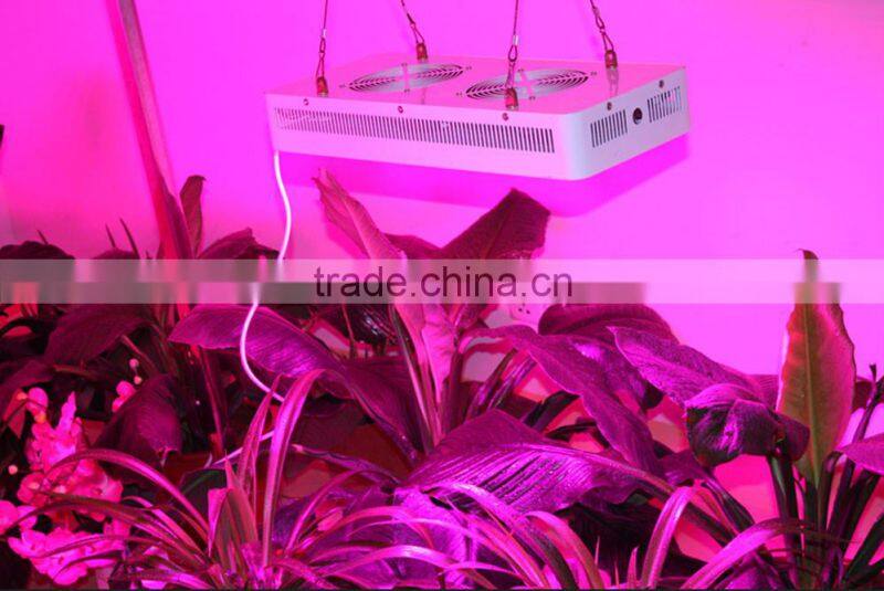 120 degree full spectrum indoor 450w led grow lighting