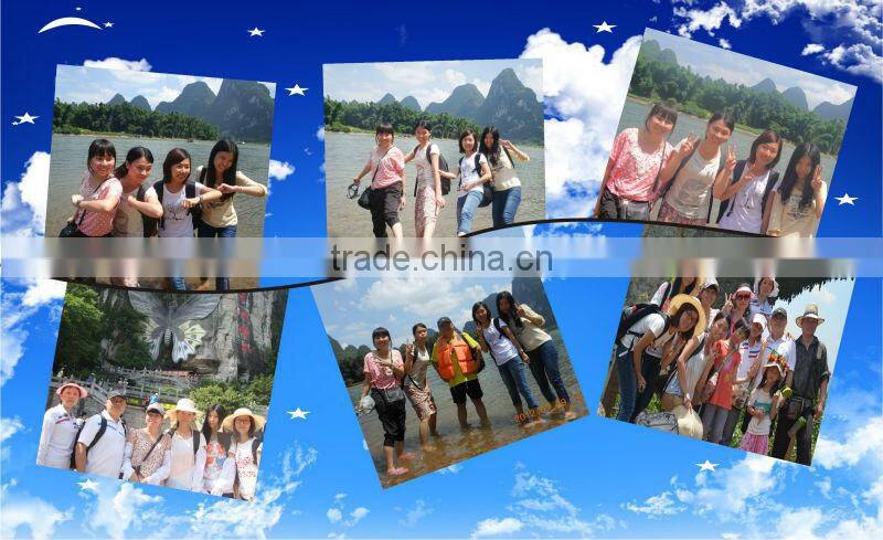 Ice Hockey Protectors(Leg Pads, Mid level)