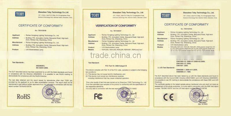 LVD Road light street light induction lamp highway