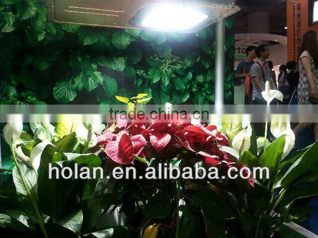 2700k plant induction grow lamp