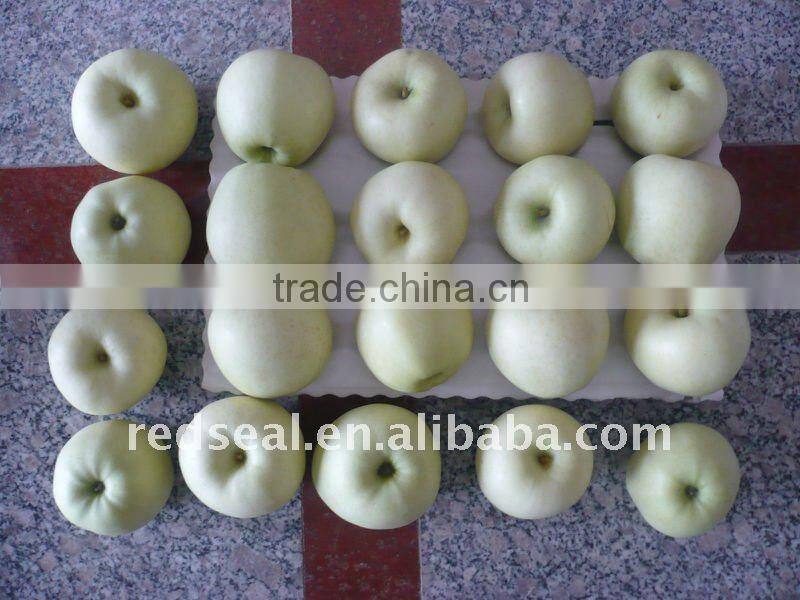 Fresh golden delicious apple