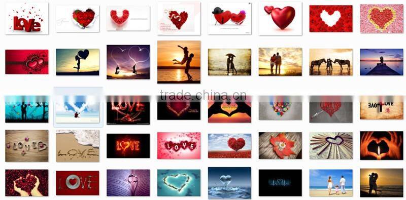 Hot sell hotel heat transfer printed custom blanket on the bed