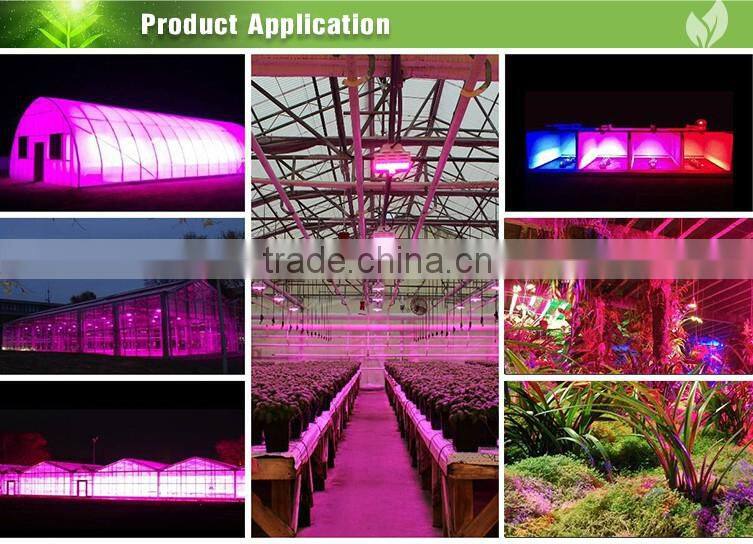 Grow lights with LED. Evergrow 2016 New style Saga Sco-840w High photosynthetic efficiency.