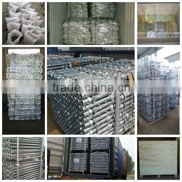 Fixed Drop Forged Scaffolding Single Coupler