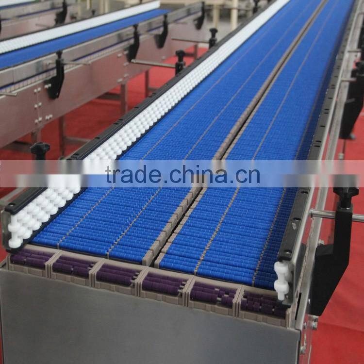 roller chain conveyor system for accumulation application