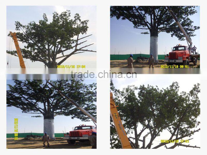 5m Decorative artificial steel ficus tree
