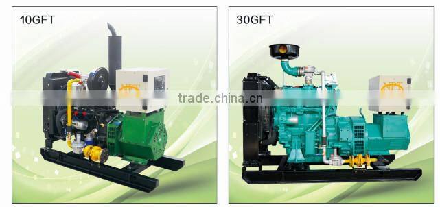 brand alternator gas generator