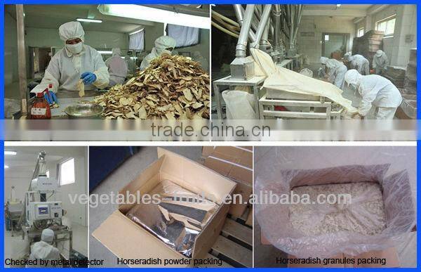 great quality horseradish prices