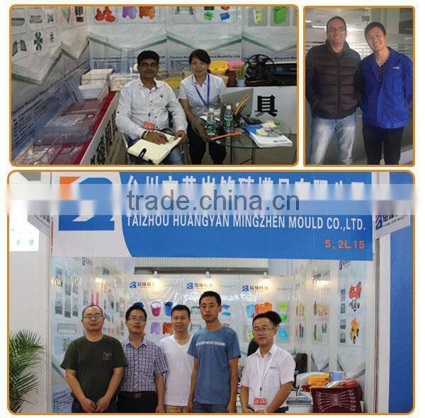 Excellent quality promotional high quality refrigerator mould