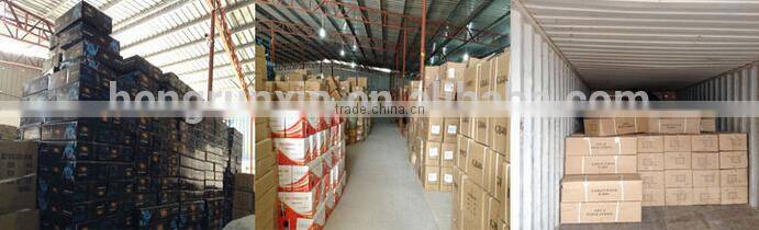 HRX-SJ760 National clothes steam iron